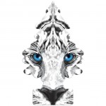 Little Trees Αρωματικό δεντράκι Wild instinct