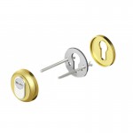 Defender Κυλίνδρου Ξύλινης Πόρτας Disec OR02D1 - Χρυσό