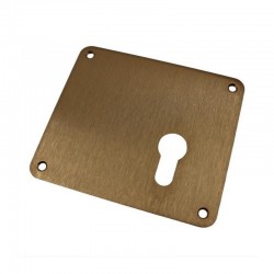 Εσωτερικό Διακοσμητικό Κυλίνδρου Disec A1893 για Κλειδαριά Mottura